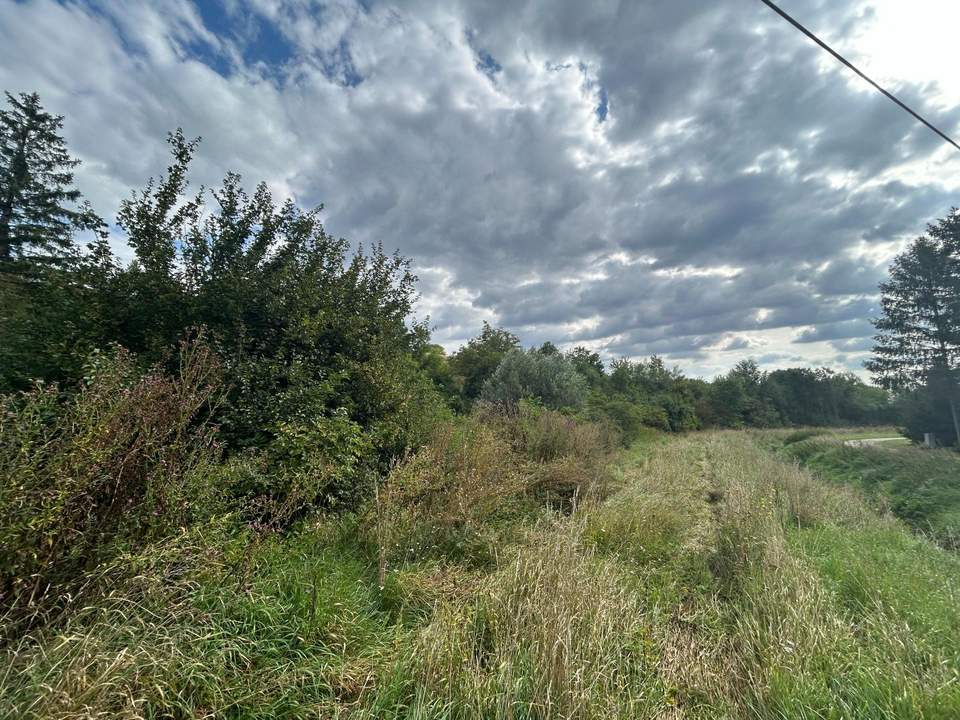 Kleinsitzendorf: Baugrund voller Möglichkeiten – Traumplatz, Traumidee, Traum wird wahr!