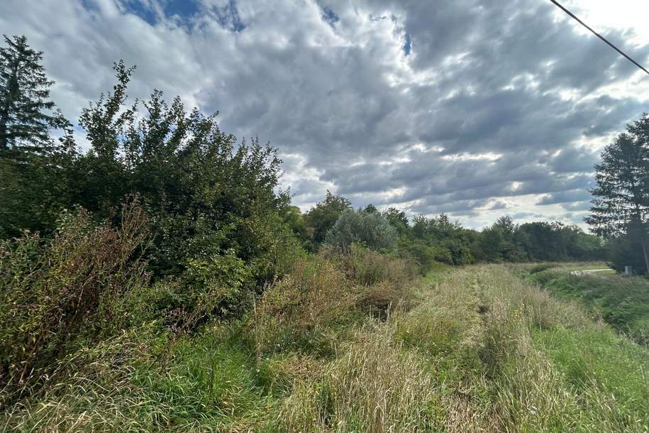 Kleinsitzendorf: Baugrund voller Möglichkeiten – Traumplatz, Traumidee, Traum wird wahr!, Grund und Boden-kauf, 110.000,€, 2116 Mistelbach