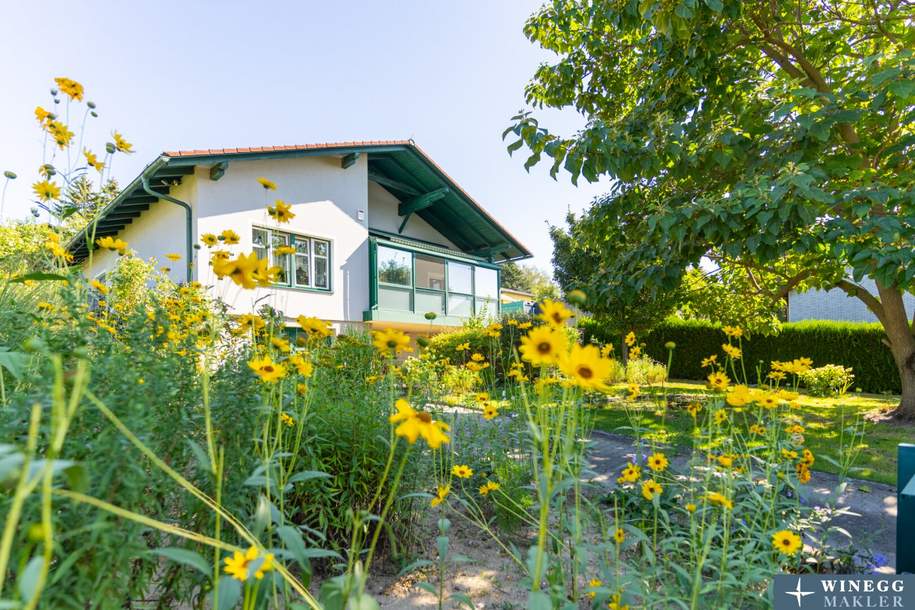 Wohlfühl-Oase in Mistelbach! Einfamilienhaus mit Pool und abwechslungsreichem Garten, Haus-kauf, 449.000,€, 2130 Mistelbach