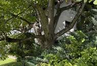 Einfamilienhaus mit großem Keller und traumhaftem Wald-Blick
