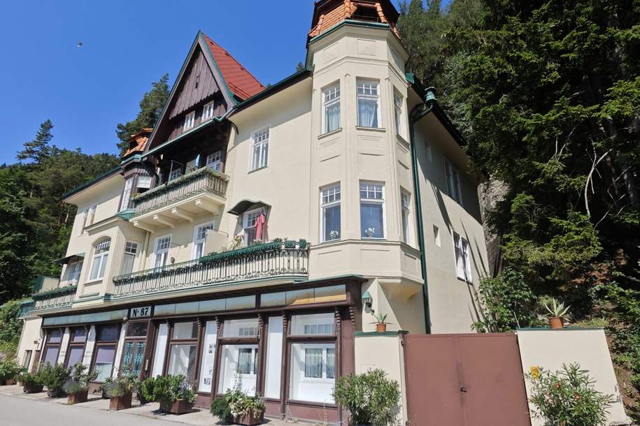 Barrierefreie 3 Zimmer Wohnung am Semmering zu mieten!, Wohnung-miete, 780,00,€, 2680 Neunkirchen