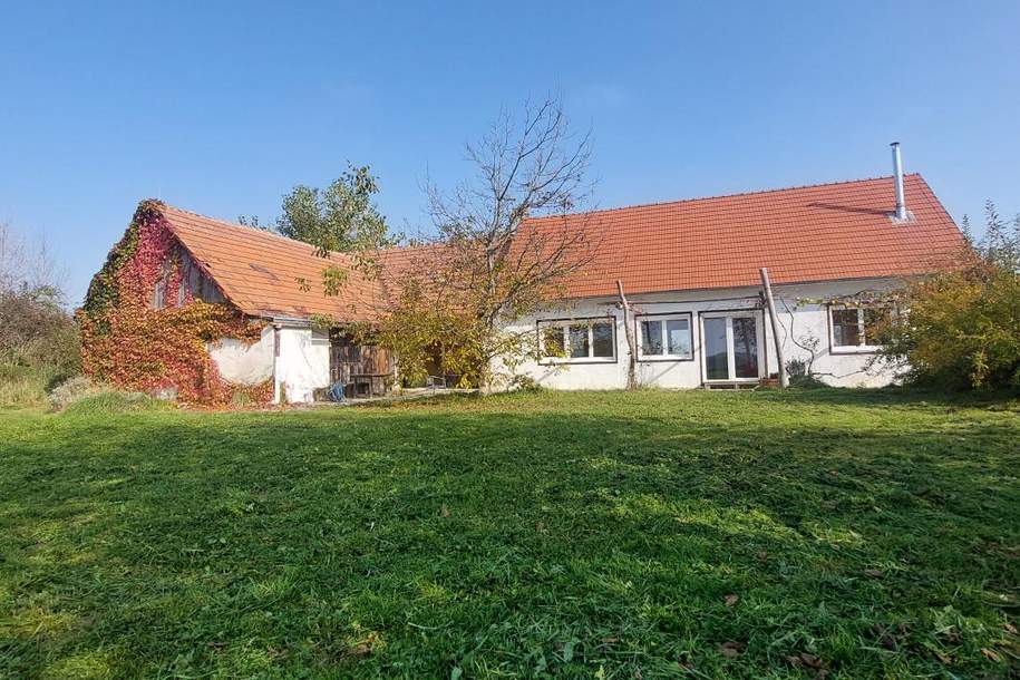 Renoviertes Bauernhaus mit sehr großem Grund in beeindruckender Aussichtslage, Haus-kauf, 450.000,€, 8382 Jennersdorf