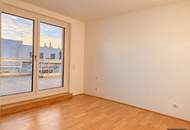3 Terrassen - 4 Zimmer - dein Platz über Wien