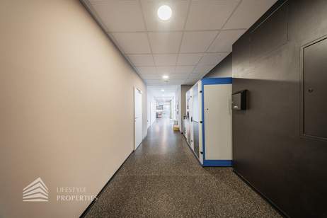 Büroflächen in Gerasdorf bei Wien, Gewerbeobjekt-miete, 16.640,00,€, 2201 Korneuburg