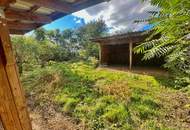 Reiterparadies im Weinviertel – Ihr Traum vom Landleben!