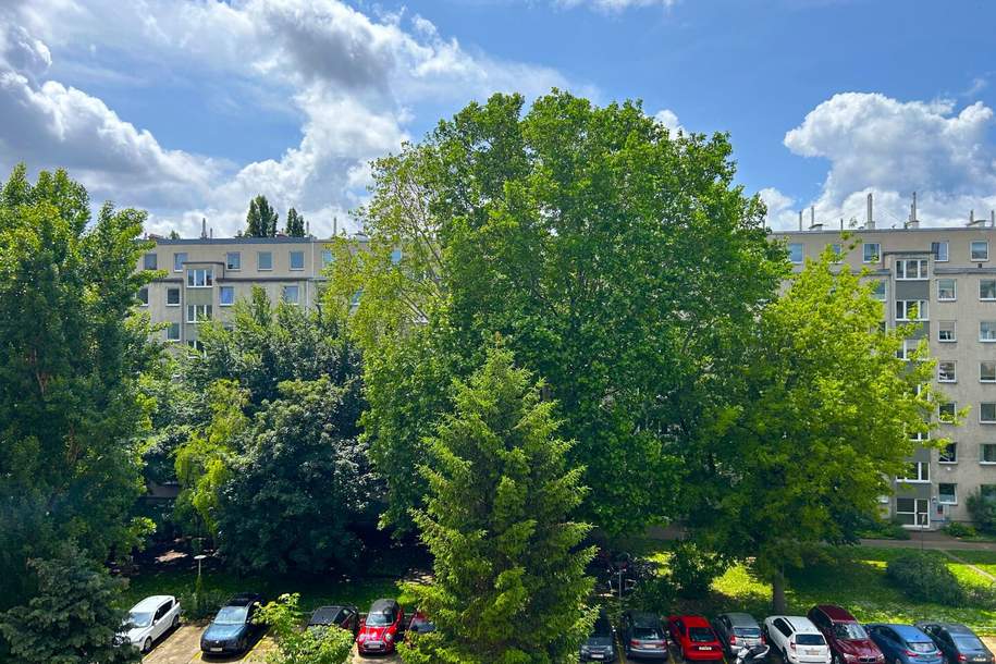 Nähe Dresdner Straße (U6) *** separate Küchenzeile *** Lift vorhanden *** zwischen Stromstraße und Lorenz Böhler Krankenhaus, Wohnung-miete, 1.450,00,€, 1200 Wien 20., Brigittenau
