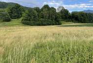 Bauernhof mit 2 Wohnhäusern und Wirtschaftsgebäuden