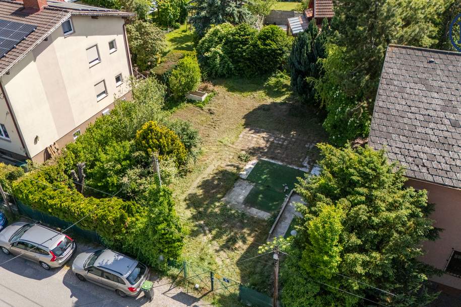 Ein Ort zum Wurzeln schlagen – Raum für Leben, Lachen und Zukunft, Grund und Boden-kauf, 1220 Wien 22., Donaustadt