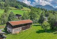 Baugrundstück mit Einfamilienhaus-Planstudie