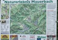 "In historischer Umgebung wohnen"