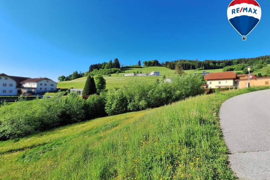Sonnige Hanglage mit Ausblick – Natur genießen, Stadtnähe erleben, Grund und Boden-kauf, 35.000,€, 4242 Freistadt