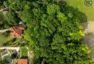 Ihr Zuhause der Ruhe – mit traumhafter Natur und gleichzeitig toller, schneller Anbindung.