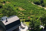 RARITÄT der EXTRAKLASSE! Perfekt revitalisiertes Weingartenhaus mit atemberaubendem Fernblick inmitten der Döblinger Weinberge!