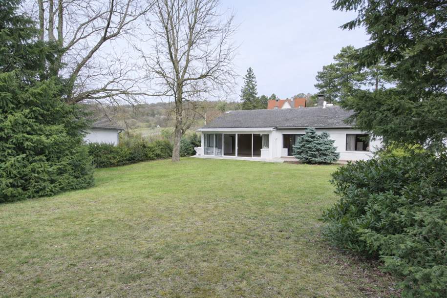 Traumhaftes Grundstück mit repräsentativem Bungalow in Langenzersdorf an der Stadtgrenze zu Wien, Haus-kauf, 1.670.000,€, 2103 Korneuburg