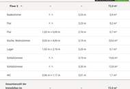 Sanierungsbedürftige Altbauwohnung in Leobener Stadtvilla am Mareckkai - Mehrheitsanteil und Mieteinnahmen mit Murblick