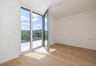 Dacherstbezug mit spektakulärem Wienblick, Terrassen & Dachterrasse in "WOLKE sieben"