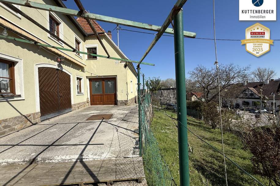 Preissenkung! Förthof: Winzerhaus mit großem Garten und Donaublick, Haus-kauf, 395.000,€, 3500 Krems an der Donau(Stadt)