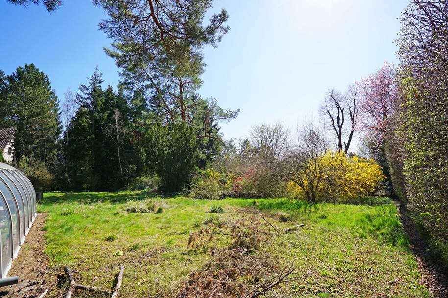 Villengrundstück in Waldrandruhelage zwischen Wolfersberg und Kolbeterberg, Grund und Boden-kauf, 1.980.000,€, 1140 Wien 14., Penzing