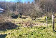 AN DER SONNENSEITE AM WALDRAND!