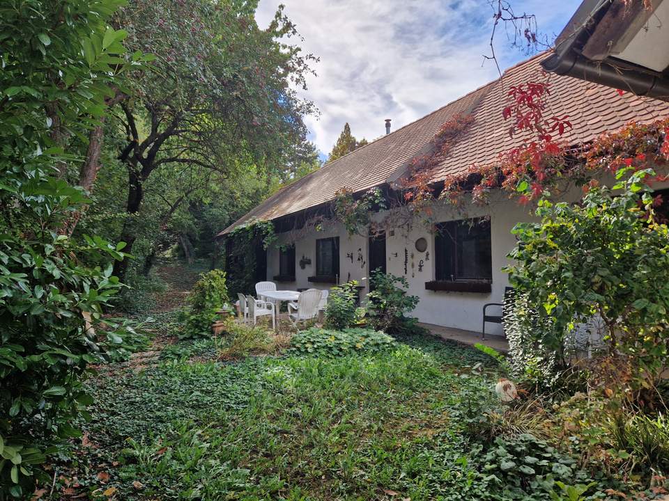 LIEBEVOLLES, SANIERUNGSBEDÜRFTIGES LANDHAUS IN GRÜNRUHELAGE MIT GESCHLOSSENEM INNENHOF UND HERRLICHEM GARTEN MIT ALTBAUMBESTAND
