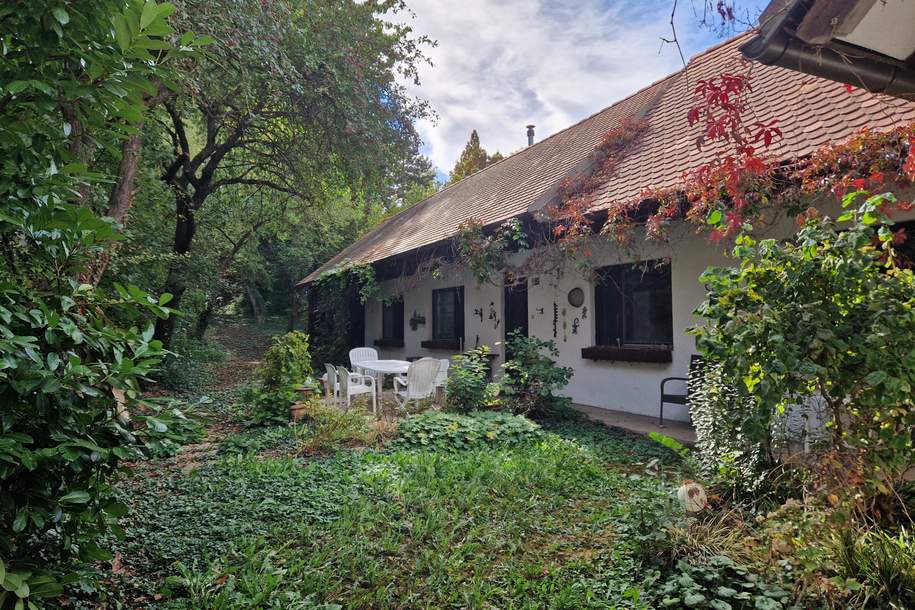 LIEBEVOLLES, SANIERUNGSBEDÜRFTIGES LANDHAUS IN GRÜNRUHELAGE MIT GESCHLOSSENEM INNENHOF UND HERRLICHEM GARTEN MIT ALTBAUMBESTAND, Haus-kauf, 147.000,€, 3711 Hollabrunn