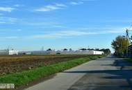 SCHLÜSSELFERTIGES REIHENHAUS AUF EIGENGRUND - 7 ZIMMER MIT WOHNKELLER