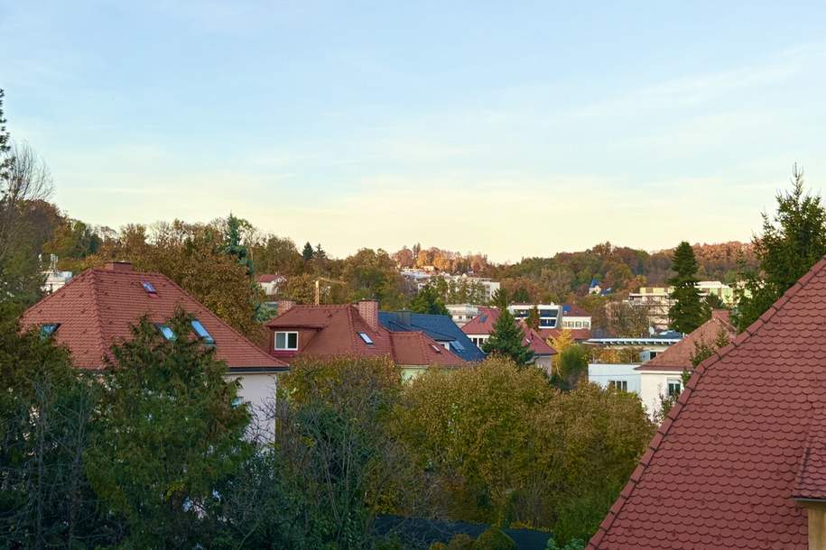 Wohnung in der Theodor-Körner-Straße 54 mit Loggia in bester Lage, ruhig, sonnig, sofort verfügbar!, Wohnung-kauf, 139.000,€, 8010 Graz(Stadt)