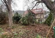 Sanierungsbedürftiges Haus auf großem Grundstück! Erwecken Sie es aus dem Dornröschenschlaf!