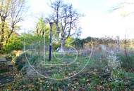 Charmantes Einfamilienhäuschen auf großem Grund in hervorragender Lage!