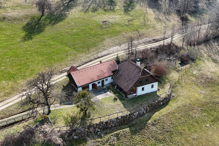 RARITÄT IN ABSOLUTER EINZELLAGE: IDYLLISCHES HIDEAWAY MIT NEBENGEBÄUDE &amp; GROSSEM POTENZIAL, Haus-kauf, 350.000,€, 3204 Sankt Pölten(Land)