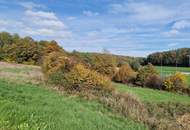 Sonniges Grundstück in Eltendorf – Ruhe und Natur genießen.
