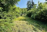 Ruhelage: Gepflegtes Einfamilienhaus mit Schwimmteich, bereit zum Einzug