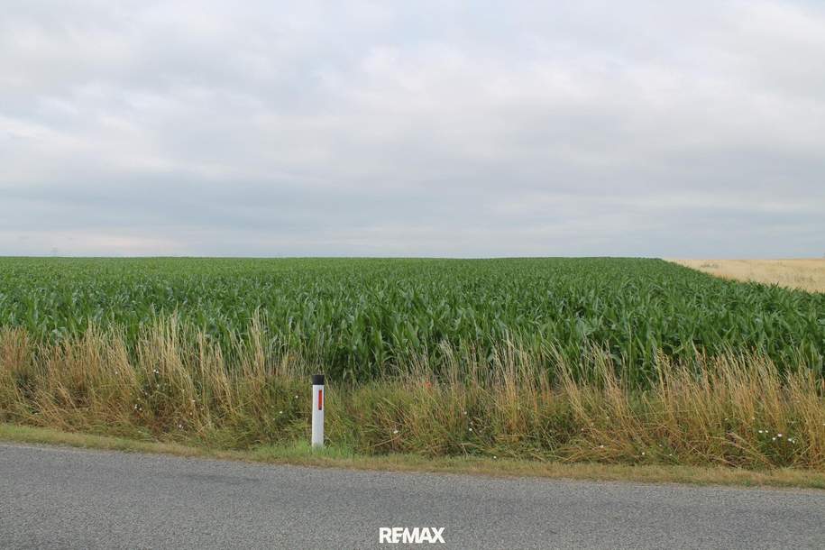"Landwirte aufgepasst!", Gewerbeobjekt-kauf, 23.610,€, 2011 Korneuburg