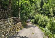 Natur & Ruhe genießen – Einfamilienhaus am Waldrand in 3594 Nondorf -Terrasse und Garten