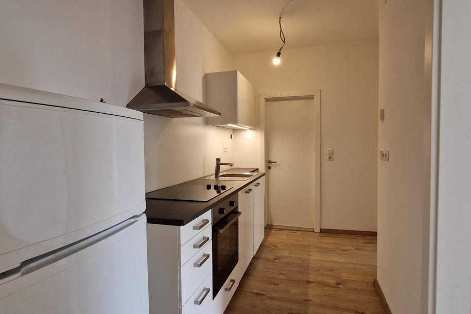 Trendig-sanierte 2,5-Zimmer-Wohnung mit Balkon in zentraler Lage, Wohnung-kauf, 120.000,€, 8020 Graz(Stadt)