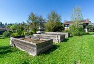 Sonnig wohnen, naturverbunden leben: Traumgarten, Schwimmteich, PV-Anlage