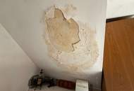 Umgebautes & Ehemaliges Presshaus als Wochenendhaus in Alberndorf!
