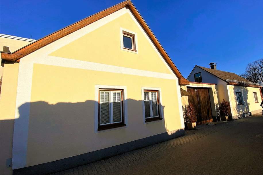 Tolles Gesamtpaket! Zwei Wohnhäuser mit Innenhof, Garagen und Scheune, Haus-kauf, 545.000,€, 2721 Wiener Neustadt(Land)