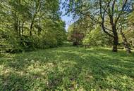 Wo die Seele ihr Zuhause findet: Ein Kunstwerk zwischen Wald und Wien