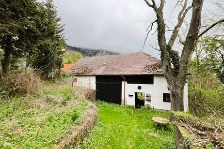 Bauernhof an der Hohen Wand!, Haus-kauf, 299.000,€, 2724 Wiener Neustadt(Land)