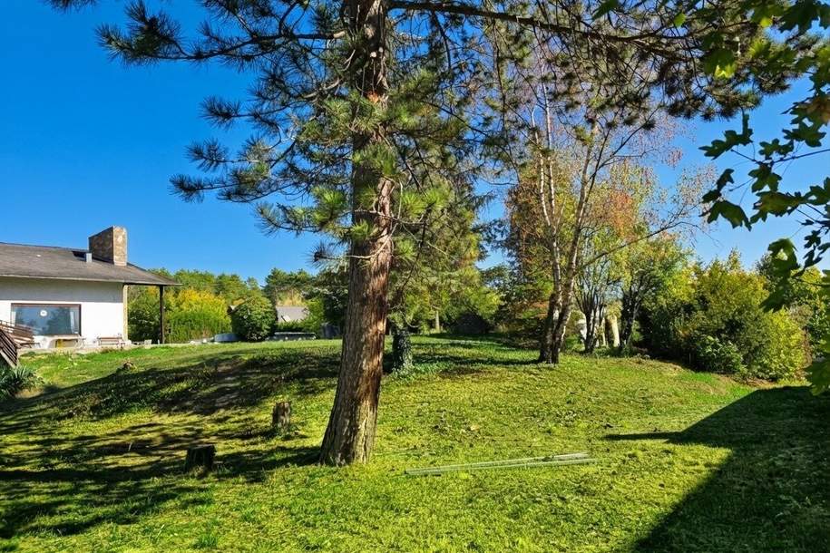Ein Anwesen mit Potenzial – Großzügiges Wohnen in bester Lage von Bad Fischau, Haus-kauf, 497.000,€, 2721 Wiener Neustadt(Land)