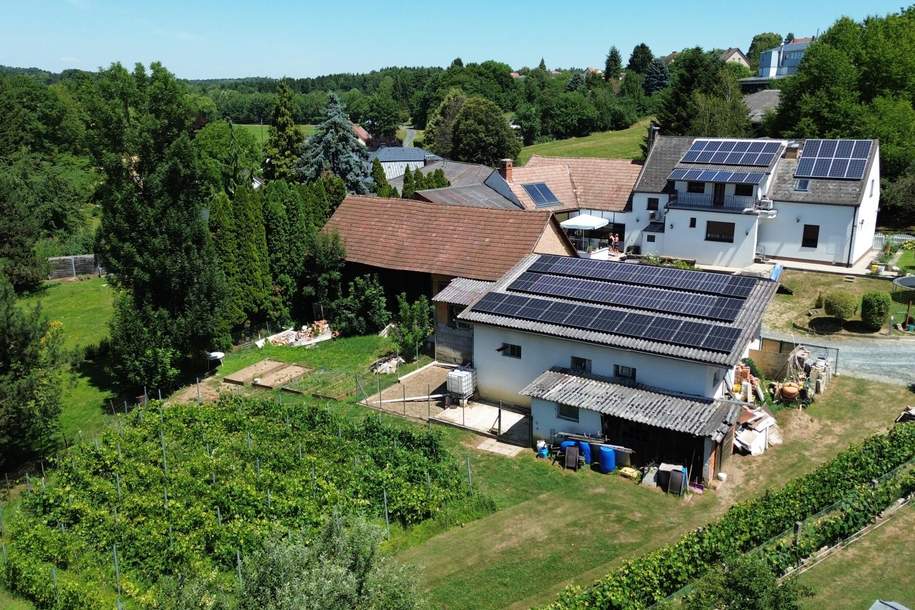 Charmantes, modernisiertes Bauernhaus mit großem Grundstück &amp; Photovoltaikanlage – St. Michael im Burgenland, Haus-kauf, 429.000,€, 7535 Güssing