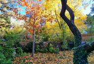 Neuer Preis! Frisch sanierte Kleinwohnung - Hier will ich leben! Traumhaft saniertes Altbauhaus + Hofseitiger und riesiger Allgemeingarten + Lebensqualität + Luftwärmepumpe! Jetzt zugreifen!