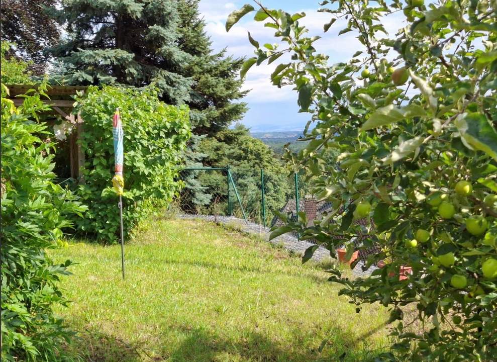 BAUGRUNDSTÜCK IN STEYREGG ? RUHIGE HANGLAGE MIT ENTWICKLUNGSPOTENZIAL
