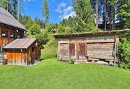 Bad Mitterndorf: Almhütte!! auf Eigengrund mit Nebengebäuden