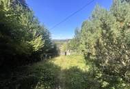 "Rarität in Mauerbach"
