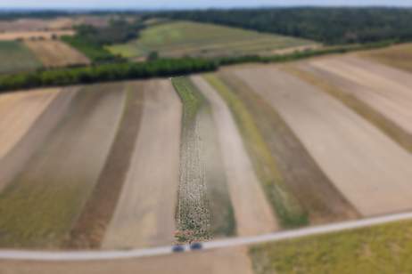 Landwirtschaftliches Grundstück in der KG Auersthal - 3103m2, Gewerbeobjekt-kauf, 18.618,€, 2214 Gänserndorf