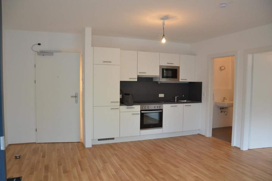 An der Alten Donau, Wohnung-miete, 1.169,40,€, 1220 Wien 22., Donaustadt