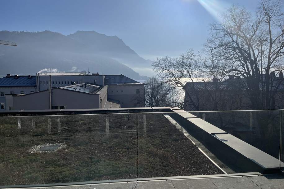 Neubauprojekt Satoristraße 19 - Top 7 - Hochwertige Wohnung für anspruchsvolles Wohnen, Wohnung-kauf, 4810 Gmunden