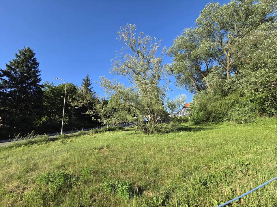 1.538 m² WOHNBAUGRUND ohne Bauzwang!